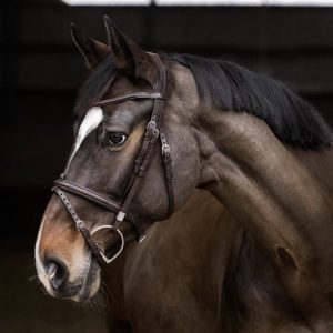 Stubben 2700 Pro-Jump Combination Snaffle Bridle: Black