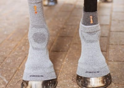 Incrediwear-Circulation-Hoof-Socks-Image-1