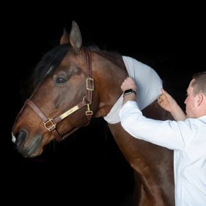 Incrediwear-Equine-Circulation-Neck-Sleeve-Image-2-copy