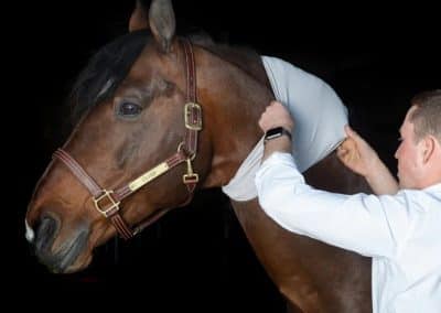 Incrediwear-Equine-Circulation-Neck-Sleeve-Image-2-copy
