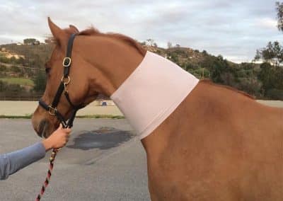 Incrediwear-Equine-Circulation-Neck-Sleeve-Image-3-copy