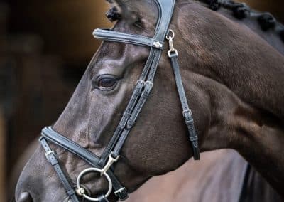 LeMieux-Work-Bridle-Lifestyle-Image-Black-1
