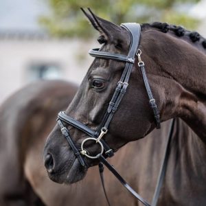 LeMieux-Work-Bridle-Lifestyle-Image-Black-2