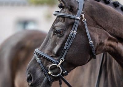 LeMieux-Work-Bridle-Lifestyle-Image-Black-2