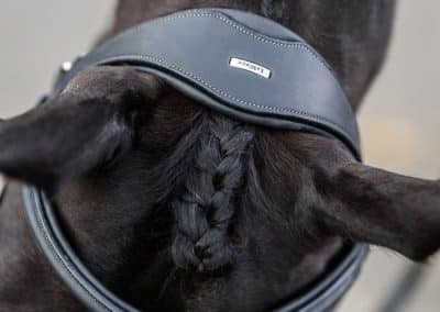 LeMieux-Work-Bridle-Lifestyle-Image-Black-3