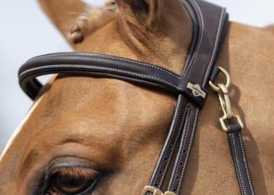 LeMieux-Work-Bridle-Lifestyle-Image-Brown-1