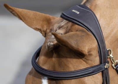 LeMieux-Work-Bridle-Lifestyle-Image-Brown-2