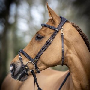 LeMieux-Work-Bridle-Lifestyle-Image-Brown-5
