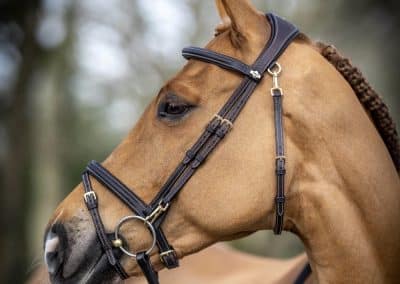 LeMieux-Work-Bridle-Lifestyle-Image-Brown-5
