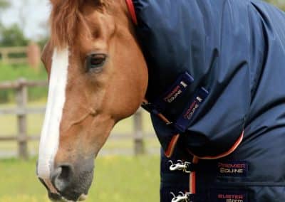 Premier-Equine-Buster-Storm-200-Turnout-Rug-Navy-2 copy