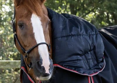 Premier-Equine-Buster-Storm-400-Turnout-Rug-Black-2