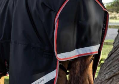 Premier-Equine-Buster-Storm-400-Turnout-Rug-Black-4