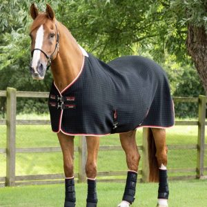 Premier-Equine-Premtex-cooler-Black-1 copy
