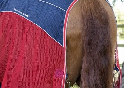 Premier-Equine-Sport-Cooler-Rug-Navy-4