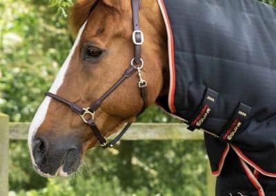 Premier-Equine-Stable-Buster-200-Stable-Rug-Black-2