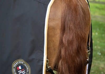 Premier-Equine-Stratus-stable-sheet-Black-3 copy