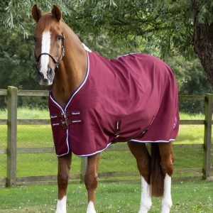 Premier-Equine-Stratus-stable-sheet-Burgundy-1 copy