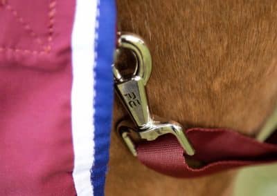 Premier-Equine-Stratus-stable-sheet-Burgundy-3 copy