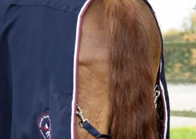 Premier-Equine-Stratus-stable-sheet-navy-3 copy