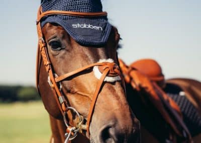 Stubben-2700-Pro-Jump-Mexican-Tobacco-2