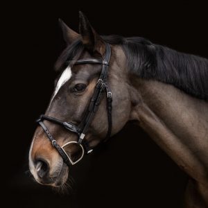 Stubben-2700-Pro-Jump-Rope-Noseband-Snaffle-Bridle-Ebony-2