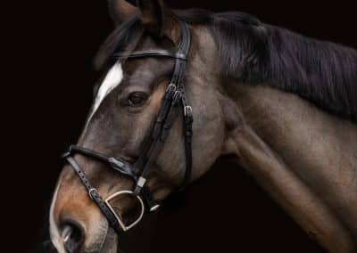 Stubben-2700-Pro-Jump-Rope-Noseband-Snaffle-Bridle-Ebony-2