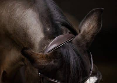 Stubben-2700-Pro-Jump-Snaffle-Bridle-Combination-Noseband-Ebony-2