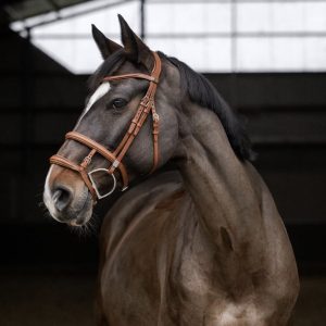 Stubben-2700-Pro-Jump-Tandem-Noseband-Bridle-Tobacco-2