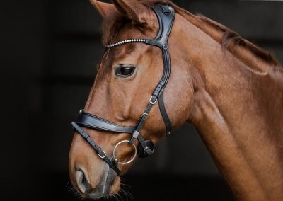 Stubben-Freedom-II-Snaffle-Bridle-Black-Image