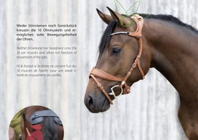 Stubben-Snaffle-Bridle-Freedom-II-2