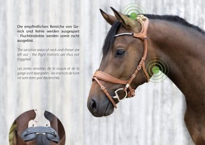 Stubben-Snaffle-Bridle-Freedom-II-3