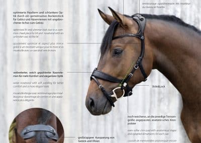 Stubben-Snaffle-Bridle-Freedom-II-4