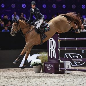 Veredus-Pro-Jump-Elastic-Image-1