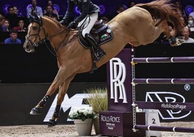 Veredus-Pro-Jump-Elastic-Image-1
