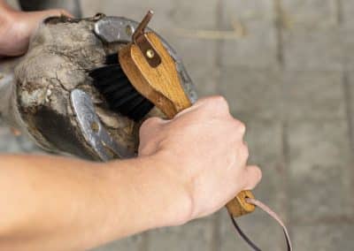 LeMieux-Artisan-Hoof-Pick-Brush-2