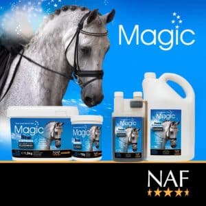 NAF-Magic-Group copy