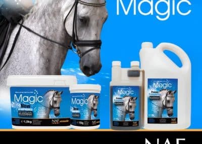 NAF-Magic-Group copy