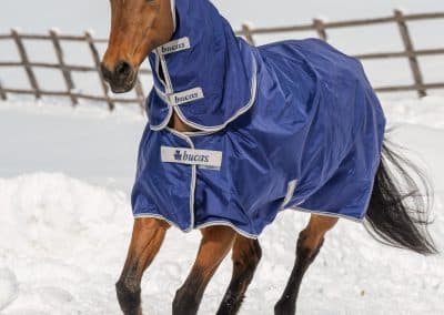 Atlantic-Turnout-Combi-Neck-Navy-442-441-440-444-445-P-9200-scaled