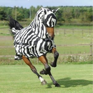 Bucas-Buzz-Off-Zebra-and-mask-16145
