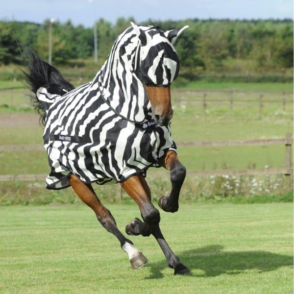 Bucas-Buzz-Off-Zebra-and-mask-16145