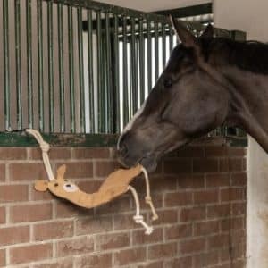 Kerbl-Horse-Toy-Lifestyle-2