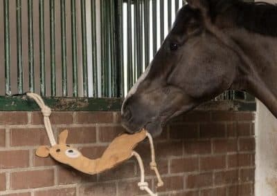Kerbl-Horse-Toy-Lifestyle-2
