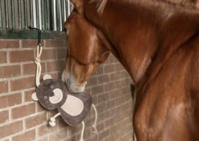 Kerbl-Horse-Toy-Lifestyle-3