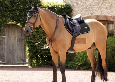 LeMieux-Puissance-Close-Contact-Pad-Black-Lifestyle-Image-2
