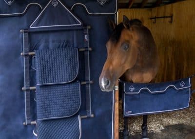 LeMieux-Stable-image