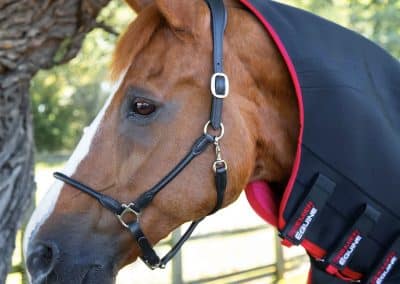 Premier-Equine-Nano-Tec-Infrared-Therapy-Horse-Rug-3