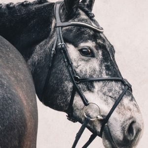 Schockemohle-Rio-Select-Grackle-Bridle-Image-3