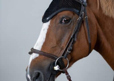 harcour-filou-fly-hood-black-2