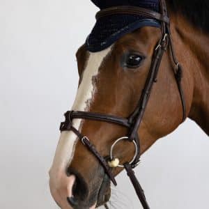 harcour-filou-fly-hood-navy-1