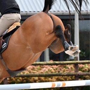 Veredus-Pro-Jump-Active-Lifestyle-Image-3